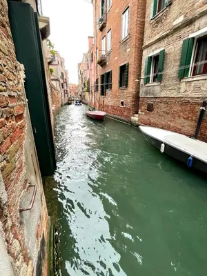 Vista sul fiume nelle vicinanze dell'appartamento