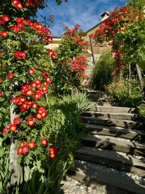 Giardino di Casa Marinelli