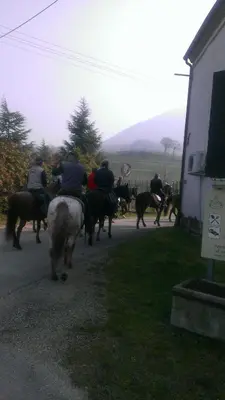 Altri animali domestici presso l'agriturismo o nei dintorni