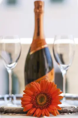 Bevande di Hotel Villa Serena