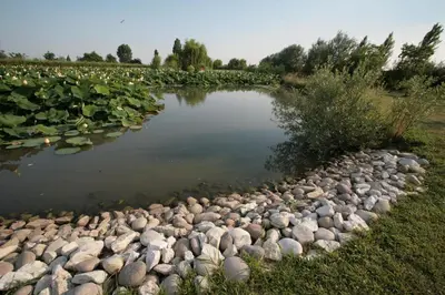 Paesaggio naturale nelle vicinanze dell'hotel
