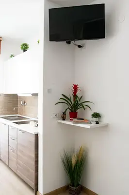 Cucina o angolo cottura di Appartamento con parcheggio gratuito 15min da Venezia