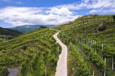 Paesaggio naturale nelle vicinanze dell'agriturismo