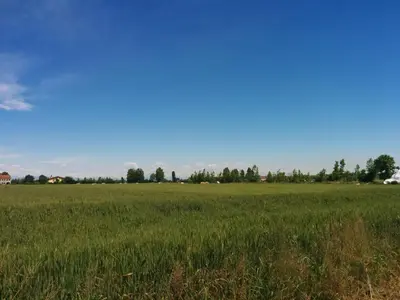 Paesaggio naturale nelle vicinanze dell'agriturismo