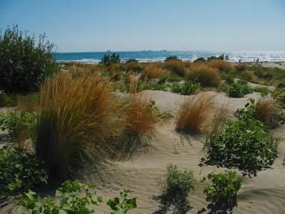 Paesaggio naturale nelle vicinanze dell'hotel