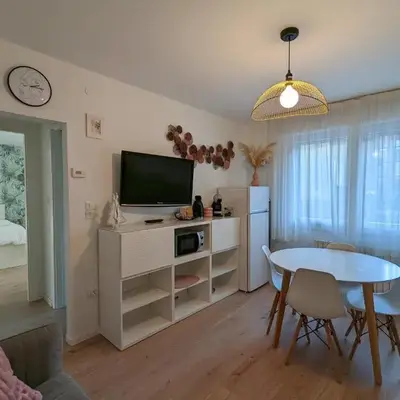 Urban Oasis family apt 10 mins from Venice