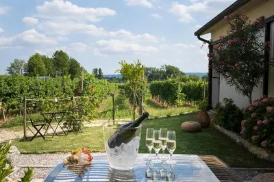 Giardino di Le Vigne del Gallo