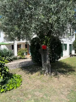 Giardino di La casa di Chicca