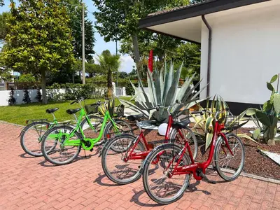 Attività di ciclismo presso l'appartamento o nelle vicinanze