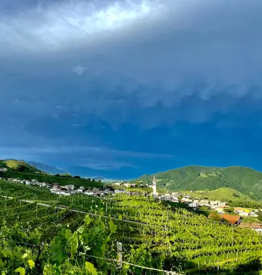 Paesaggio naturale nelle vicinanze dell'agriturismo