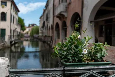 Vista sul fiume nelle vicinanze dell'appartamento