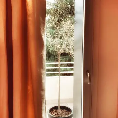 Planimetria di THE FAHOUSE