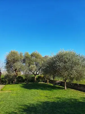 Giardino di Il Camino Rosso