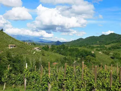 Paesaggio naturale nelle vicinanze dello chalet