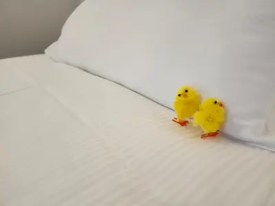 Letto o letti in una camera di Dimora in Prato
