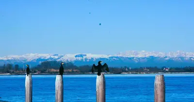 Paesaggio naturale nelle vicinanze dell'appartamento