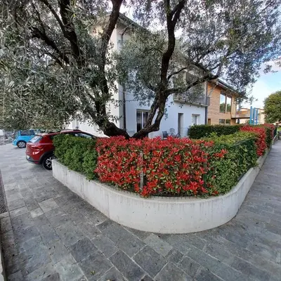Giardino di Casa Ciliegi 3