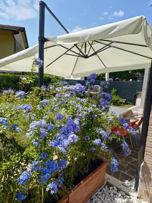 Giardino di Berto's house tra mare e laguna