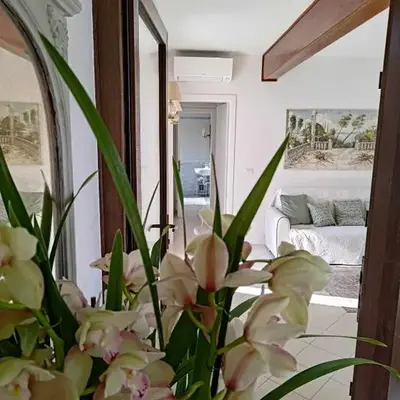 Berto's house tra mare e laguna