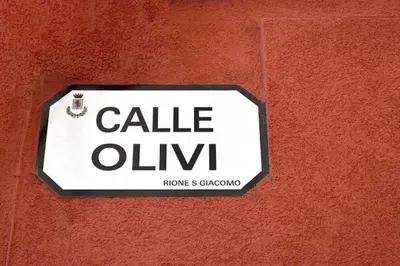 Certificato, attestato, insegna o altro documento esposto da Dimora 421 ApartSuite Chioggia