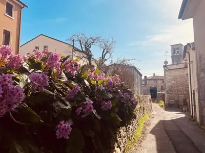 Planimetria di Borgo Cortivi b&b