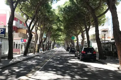 Il quartiere o una zona nella vicinanze dell'appartamento